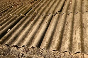 shutterstock_2523516313