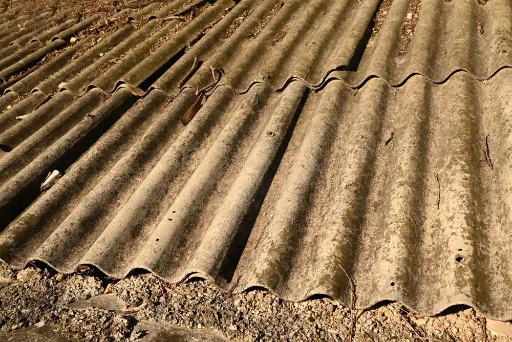 shutterstock_2523516313